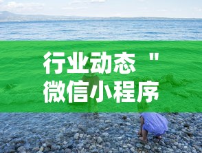 行业动态 "微信小程序微乐麻将有猫腻吗!详细开挂教程 行业动态 "微信小程序微乐麻将有猫腻吗!详细开挂教程