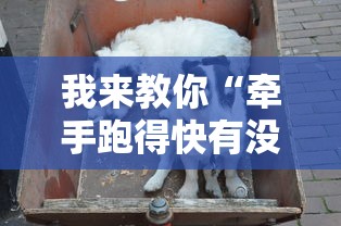 我来教你“牵手跑得快有没有技巧”-揭秘开挂教程分享