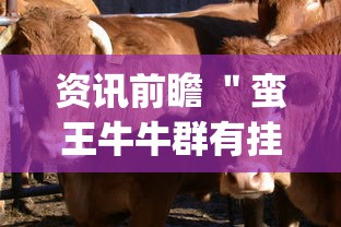 资讯前瞻 ＂蛮王牛牛群有挂吗”辅助挂下载”(最新开挂教程)
