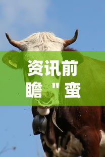 资讯前瞻 ＂蛮王牛牛群有挂吗	”辅助挂下载”(最新开挂教程)