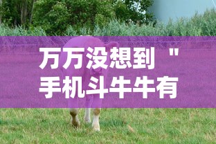 万万没想到 ＂手机斗牛牛有挂吗	”掌握辅助功能必胜规则