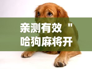亲测有效 ＂哈狗麻将开挂”开挂(透视)辅助