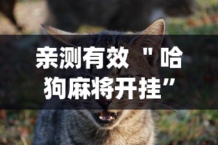 亲测有效 ＂哈狗麻将开挂”开挂(透视)辅助
